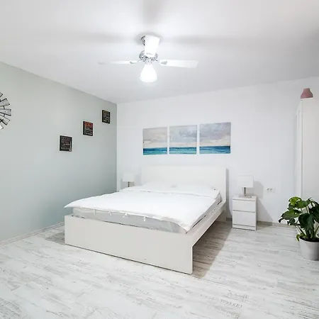 Hostel Transylvania Brasov