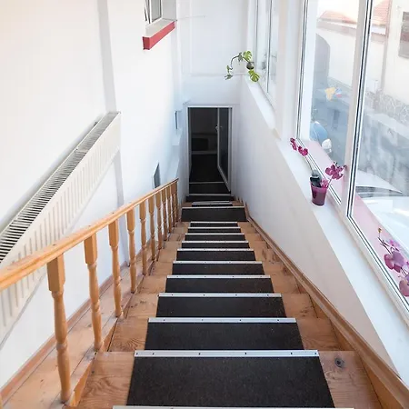 Transylvania Hostel *