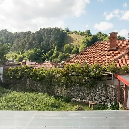 Hostel Transylvania *