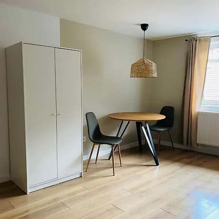 Transylvania 호스텔 브라쇼브