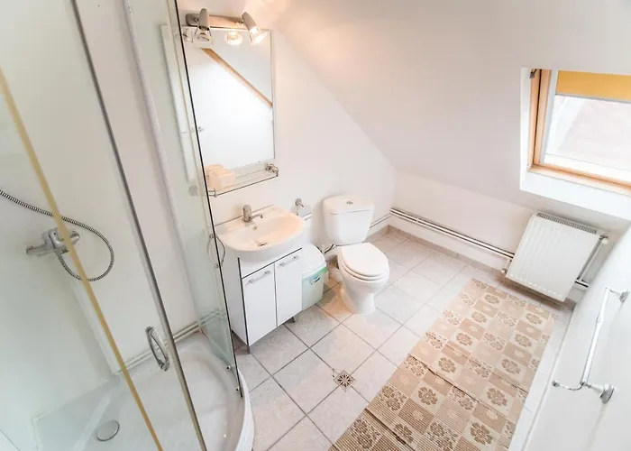 호스텔 Transylvania 브라쇼브