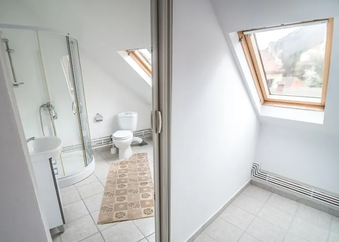 Transylvania 호스텔 *