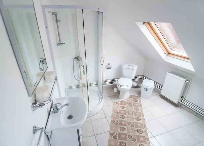 Transylvania * 브라쇼브