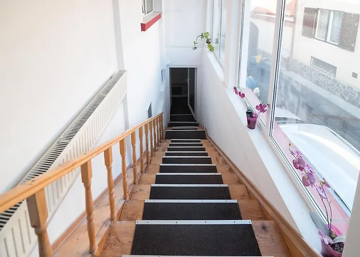 Transylvania Hostel *