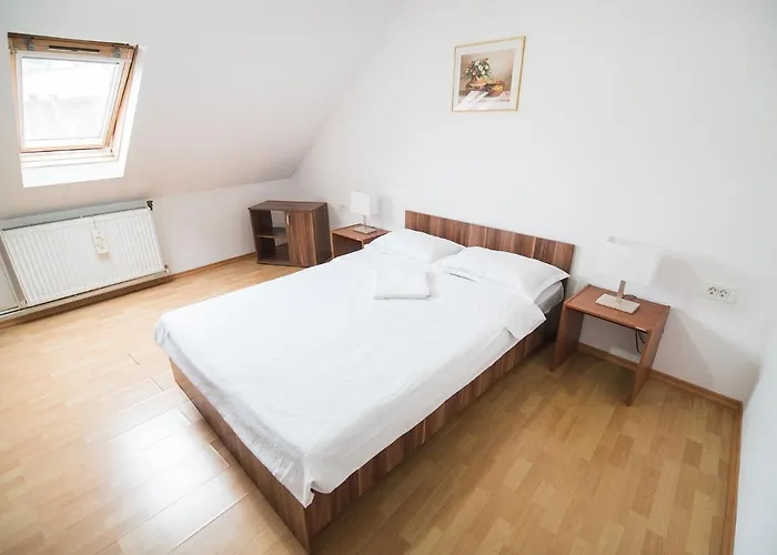 Hostel Transylvania *