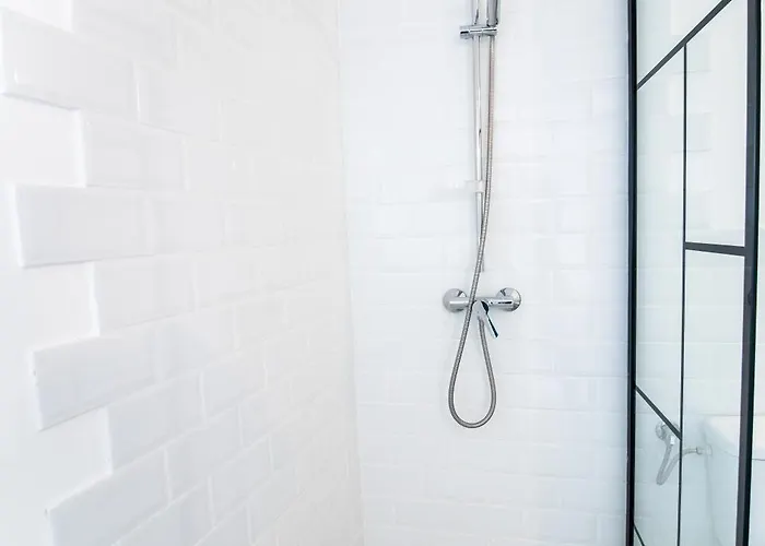 Transylvania 브라쇼브